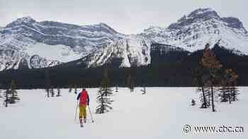 National parks closing to visitors amid COVID-19 pandemic as Parks Canada says 'stay home'