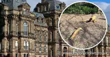 'It is shameful': Yobs trash the grounds of the Bowes Museum