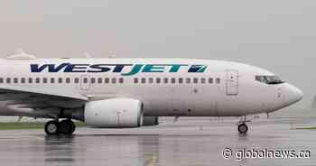 WestJet announces layoffs for nearly 50% of staff due to COVID-19, Air Canada reduces pilots