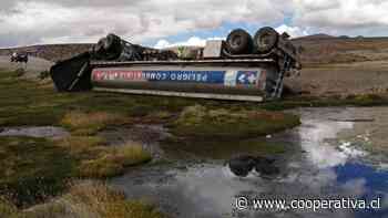 Camión que transportaba petróleo volcó al interior del Parque Nacional Lauca
