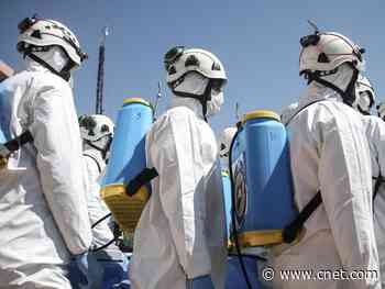 Coronavirus updates: Olympics postponed, Trump wants US open by Easter     - CNET