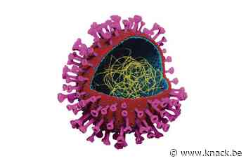 Waarom we ons moeten voorbereiden op nog meer coronavirussen