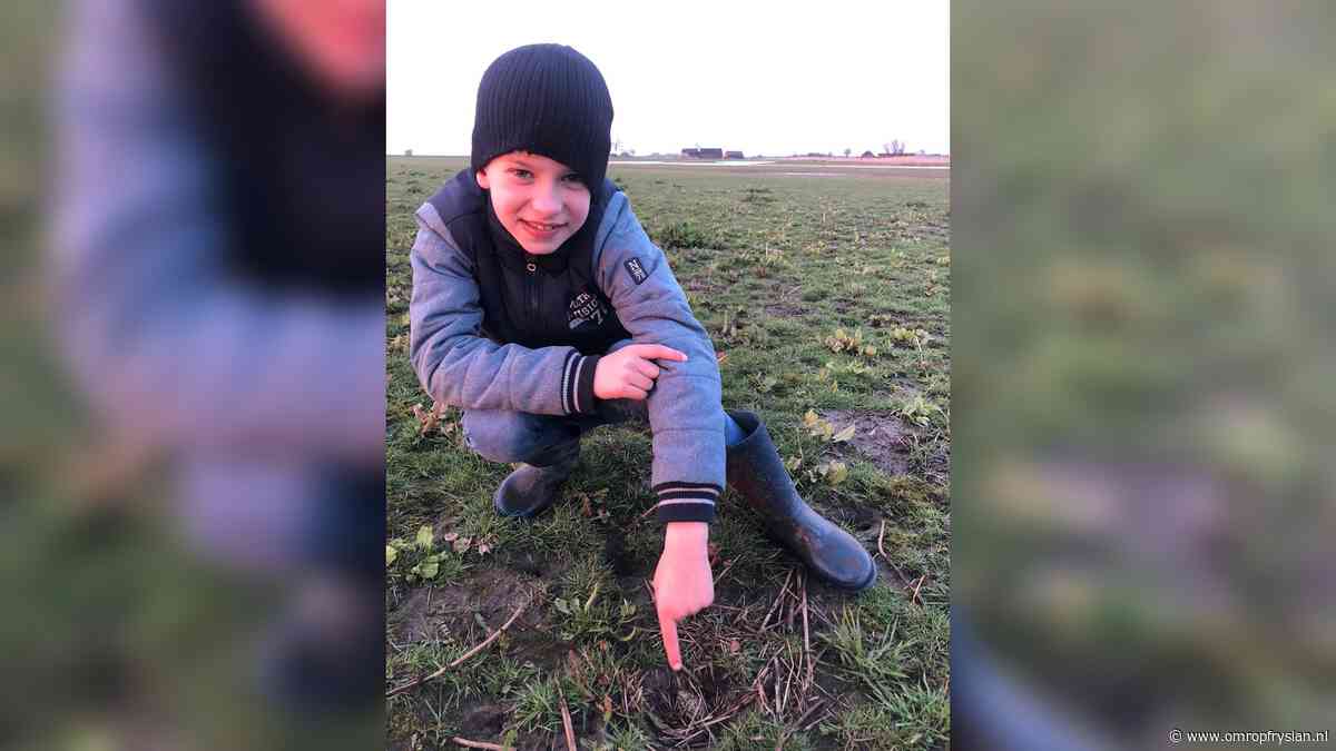 Eerste jeugdkievitsei bij Kollumerpomp gevonden door Hidde Huizenga (9) - Omrop Fryslan