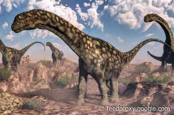 Which Dinosaur Is the Biggest Ever Found?