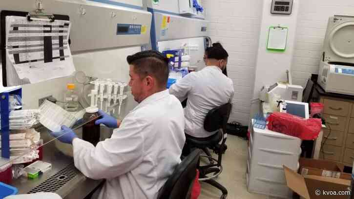 UA scientist churning out COVID-19 test kits