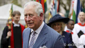 Coronavirus: Prince Charles tests positive for COVID-19, has mild symptoms