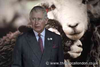 Prince Charles 'has coronavirus'