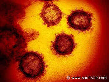 Presumptive COVID-19 case in Chippewa County reported