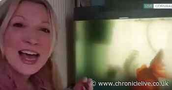 Woman reveals she used Heimlich manoeuvre to save goldfish's life