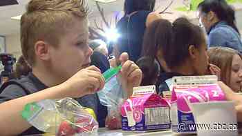 Edmontonians launch efforts to help students cut off from school food programs during pandemic
