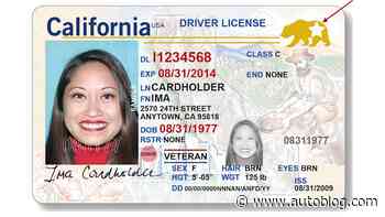 Real ID driver's license deadline of Oct. 1 has been suspended