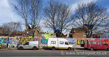 M32 protesters move into tree houses and say they will not leave
