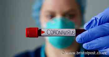 Hundreds of thousands to be tested for coronavirus every day 'within weeks'