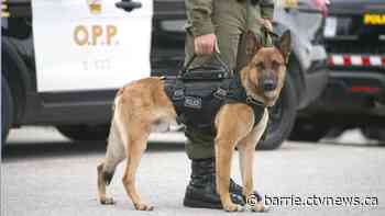 Orillia man accused of escaping arrest, assaulting officers - CTV News