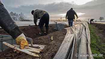 Ernte ohne ausländische Helfer – was der Einreise-Stopp für uns bedeutet