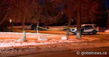 2 explosive packages found on Saskatoon street connected: police - Global News