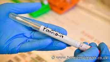 Coronavirus deaths pass 460 on day Prince of Wales tests positive