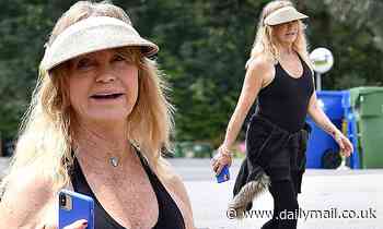 Goldie Hawn takes an isolation break as she enjoys a stroll with friend