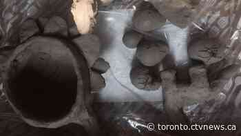 Parkdale pottery project helps families get through COVID-19 pandemic