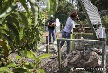 Are landscaping crews considered an essential business?