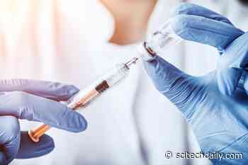 Universal Flu Vaccine Developed Using Novel Nanoparticles