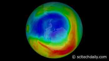 Changes in Southern Hemisphere Winds Stopped by International Ozone Treaty