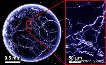 Scientist Have Uncovered the Mechanism Behind Mesmerizing “Whiskey Webs”