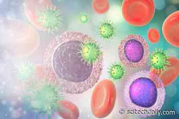 New Anticancer Therapy Prospects After “Brake” on Immune Activity Identified