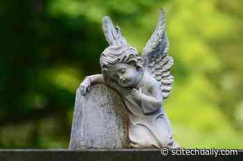 Infections Responsible for 20% of Childhood Deaths in England and Wales