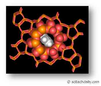 Catalyst Zeolite Nanopores Discovery May Lead to New Materials for Clean Energy and Carbon Capture