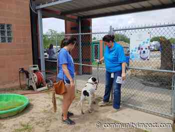 How to support from home: Greater Houston animal shelters see high intake of animals amidst coronavirus pandemic - Community Impact Newspaper