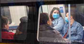 This is the data that shows why the UK had to go into lockdown