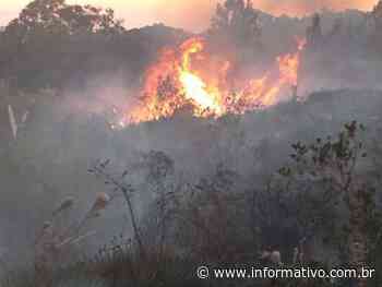 Incêndio florestal atinge Morro Gaúcho, em Arroio do Meio - Infomativo