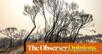 How Australia faces up to the coronavirus, global architecture, and sharks - The Guardian