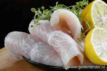 Dure ‘verse’ pangasiusfilet blijkt gewoon ontdooide vis