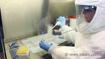 La provincia de Buenos Aires hará pruebas de coronavirus en 19 laboratorios - Télam