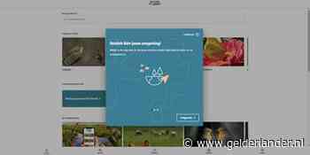 App voor de thuisblijvers: hulp bij herkennen vlinder of vogel in eigen tuin