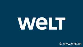 Neue Internet-Plattform soll regionaler Wirtschaft helfen - DIE WELT
