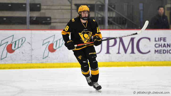 Pittsburgh Native Logan Cooley Named To USA Hockey National Team Development Program