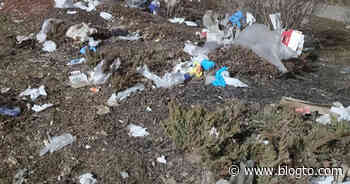 People need to stop littering disposable gloves and masks in Toronto - blogTO
