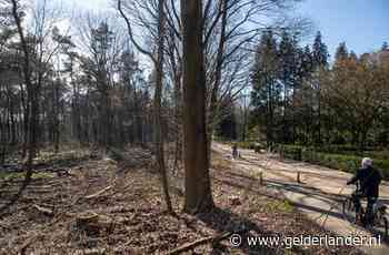 Bomen terug in kaalgeslagen Edes bos; maar het soebatten gaat door