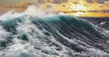 Bitcoin Is a Safe Haven for a Worse Storm Than This