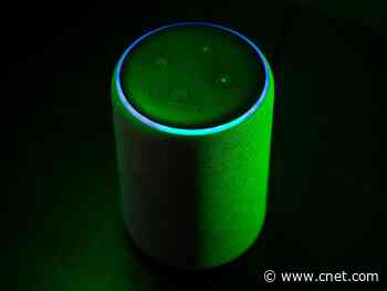8 ways to protect your Amazon Echo privacy while working from home     - CNET