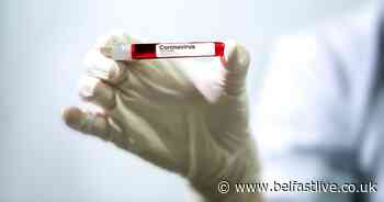 Belfast university awarded grant to help find COVID-19 treatment - Belfast Live