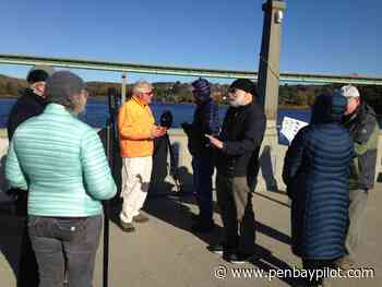 Harbor Bird Watch at Belfast footbridge - PenBayPilot.com