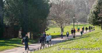 Police: Coronavirus lockdown means you can't drive to walk your dog