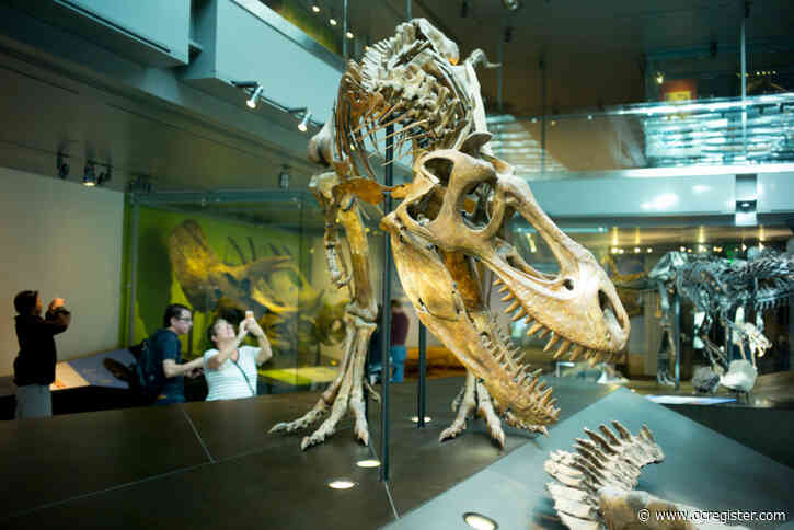 12 Southern California museums and cultural centers you can visit virtually