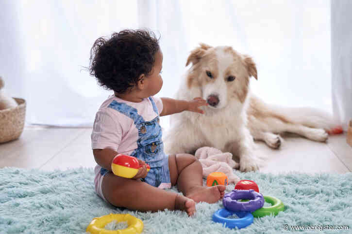 Power of pets: Psychological, physiological effects of adding a dog to the family 