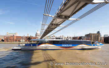 Thames river buses suspend services indefinitely as passenger numbers nosedive