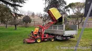 Sfalcio dell'erba a Padova, iniziati gli interventi in tutti i quartieri cittadini - PadovaOggi